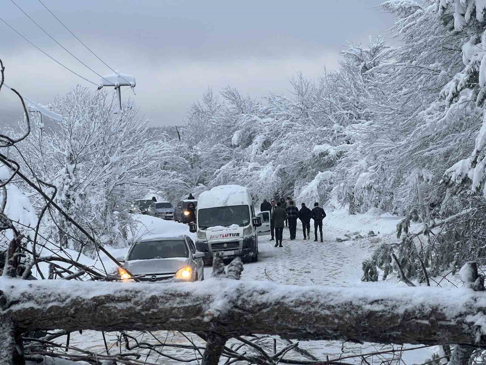 Abant yoluna ağaç devrildi, tatilciler yolda kaldı
