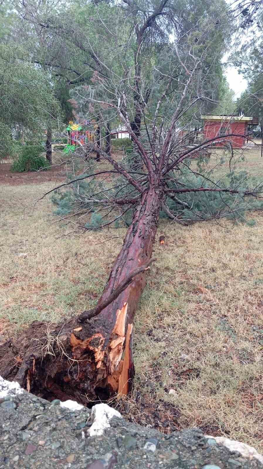 Kozan&rsquo;da kuvvetli r&uuml;zgar &ccedil;atıları u&ccedil;urdu, ağa&ccedil;ları devirdi
