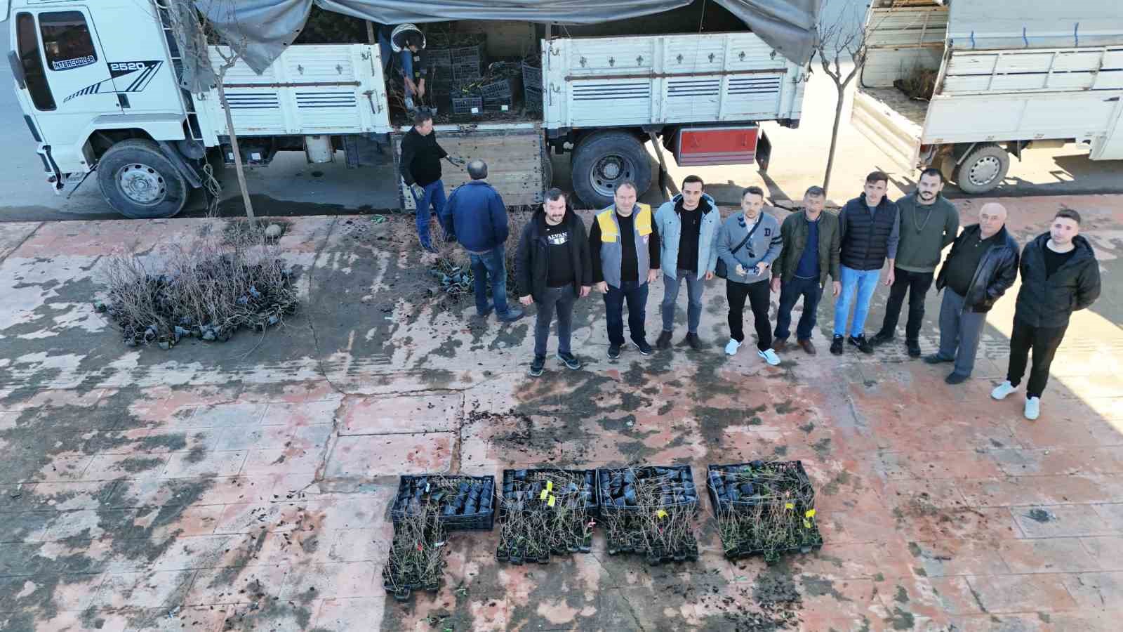 Giresun’da Maviyemiş üretimi artıyor