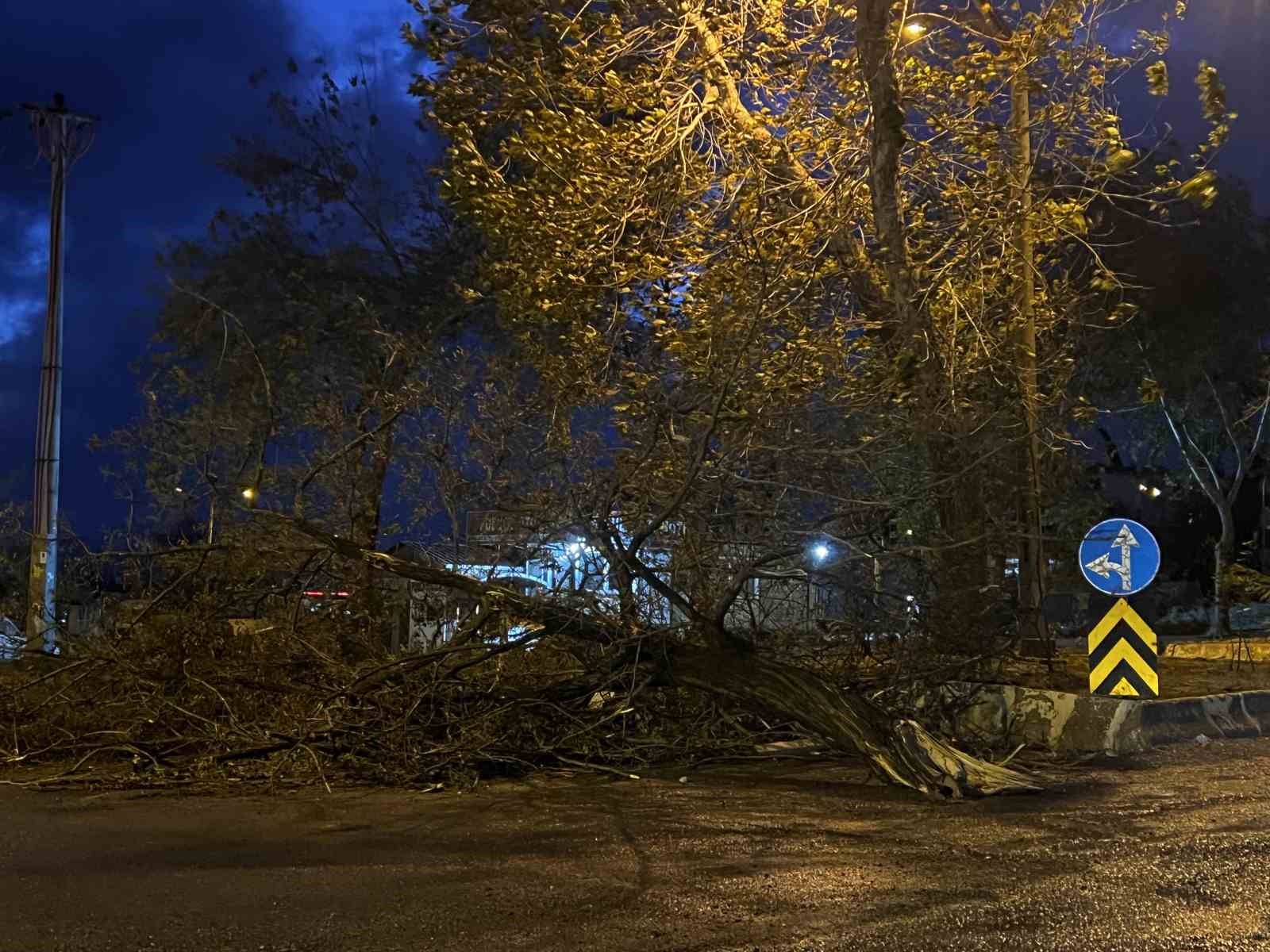 Kahramanmaraş&rsquo;ta şiddetli r&uuml;zgarda ağa&ccedil;lar ve direkler devrildi

