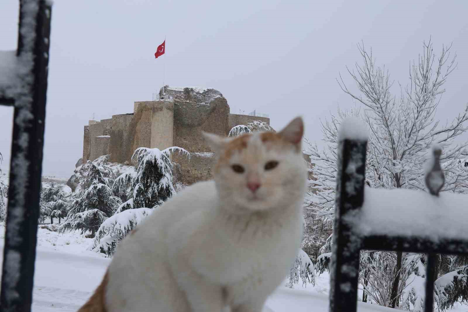 Beyaz gelinliğini giyen Harput’ta kartpostallık görüntüler oluştu
