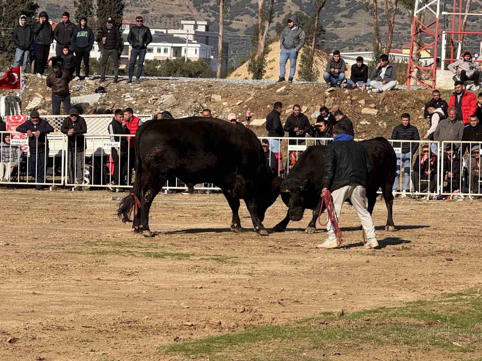 Güreşi kazanınca davul zurna eşliğinde oynadı
