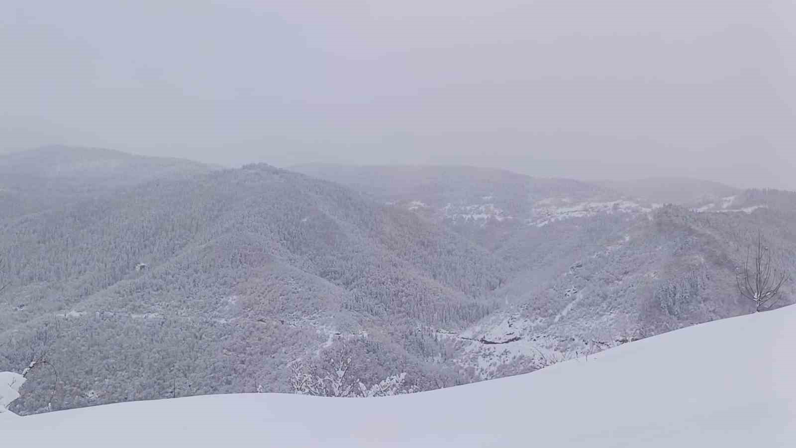 Ordu’da kar nedeniyle mahsur kalan 4 kişi kurtarıldı
