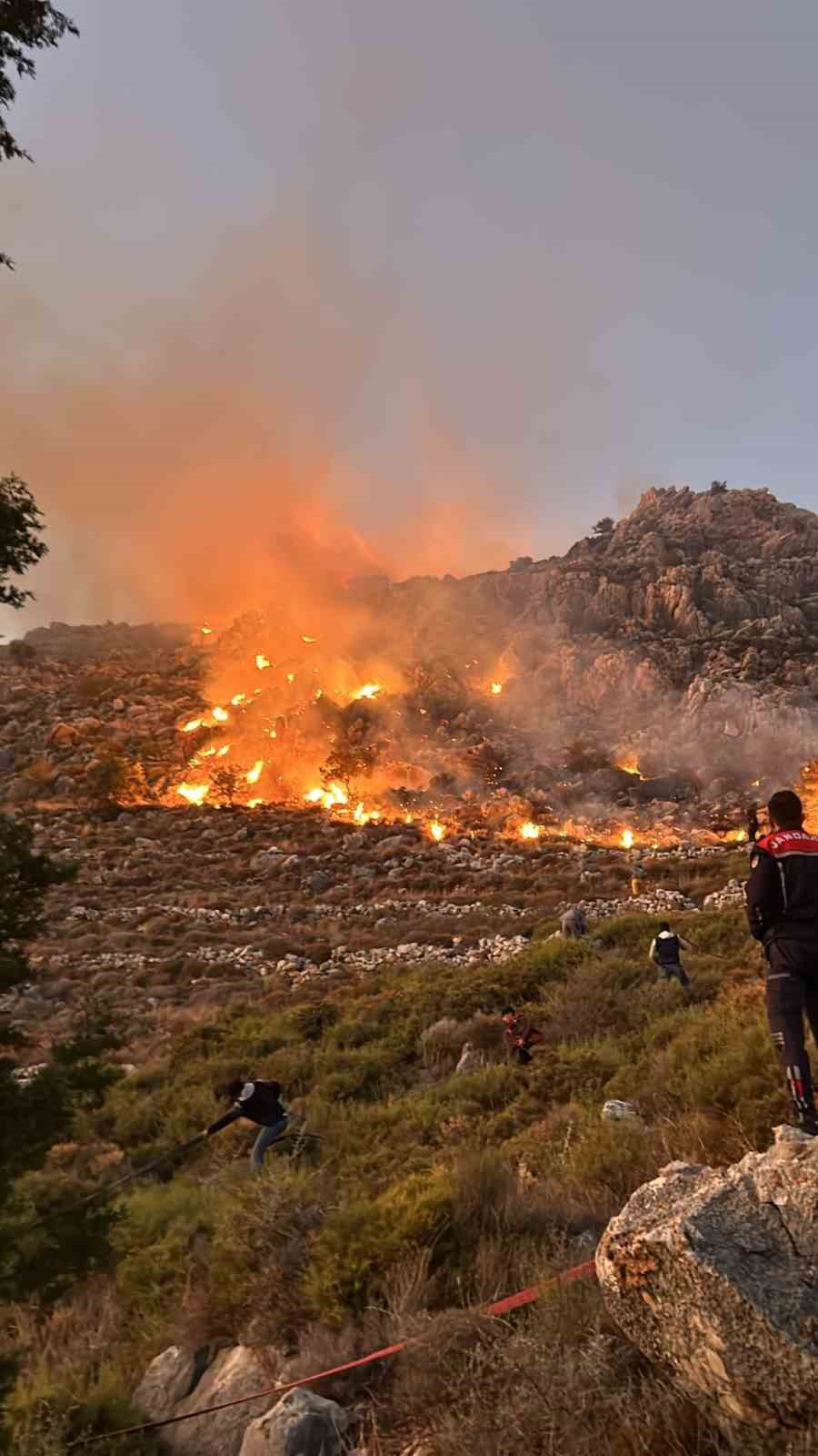 Marmaris’te makilik yangını