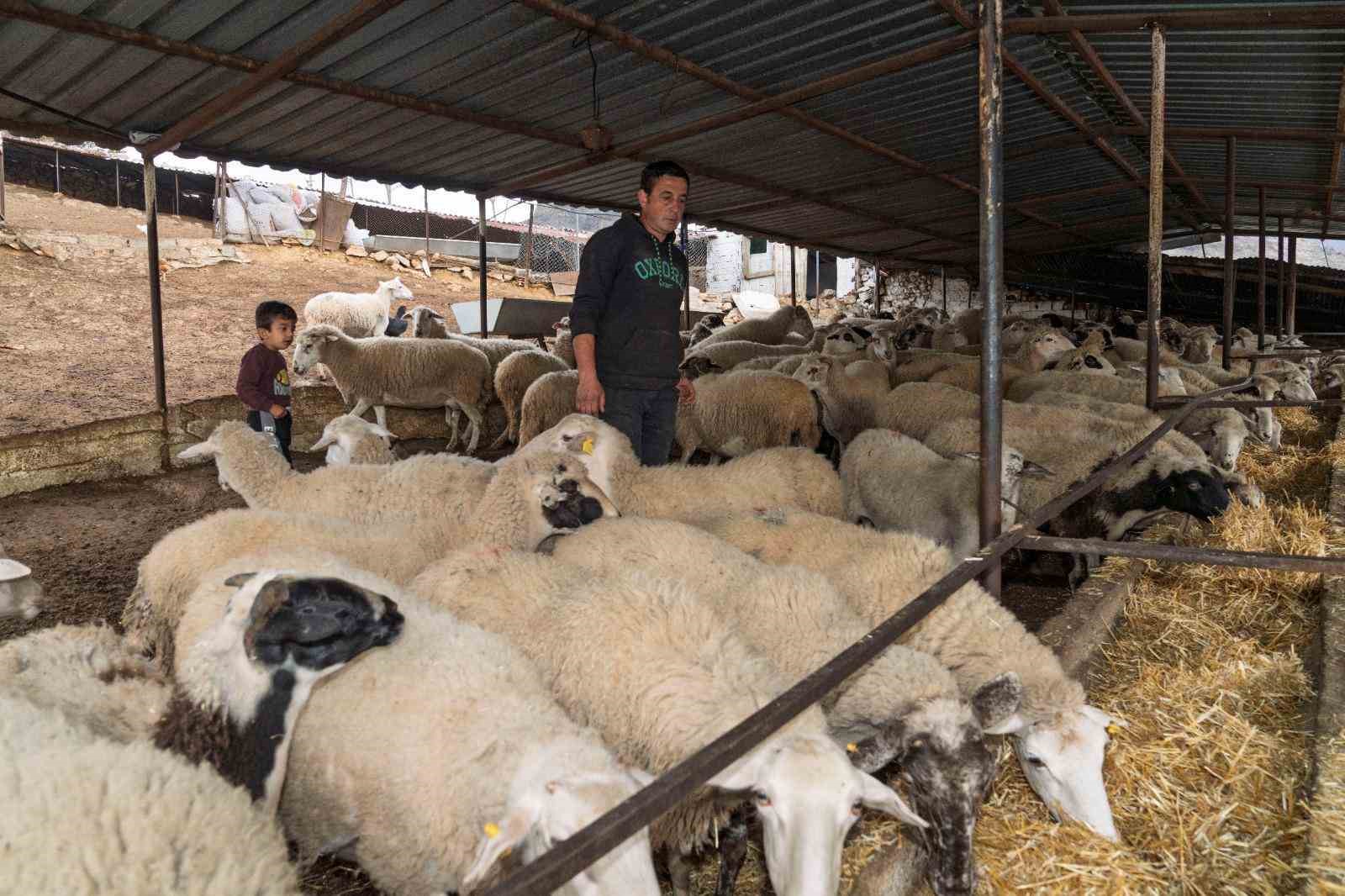 Yangın mağduru çiftçilere 225 ton yem desteği