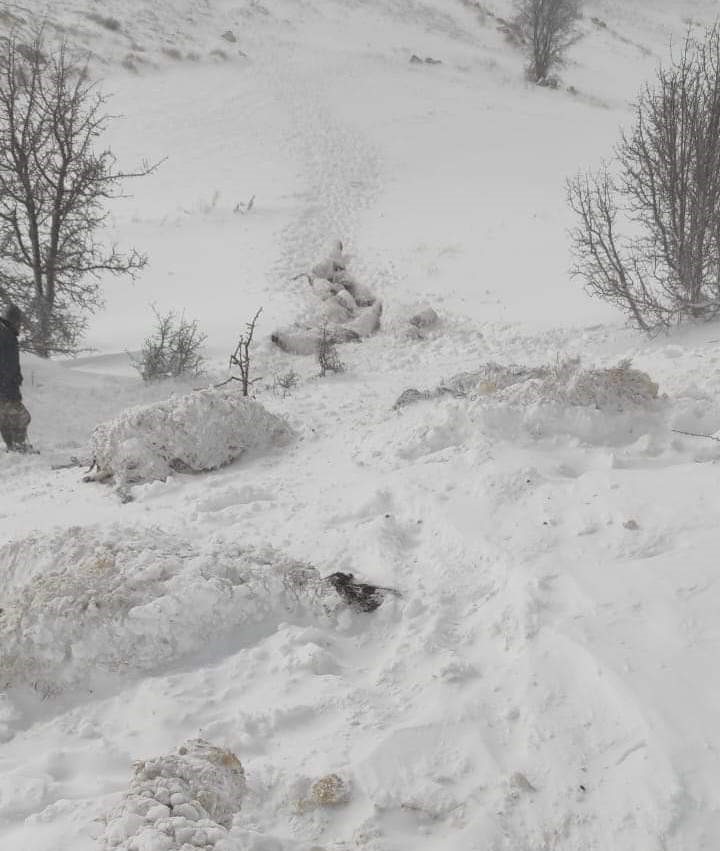 Kurtarılan çoban yaşananları anlattı: "430 koyunumuz telef oldu"
