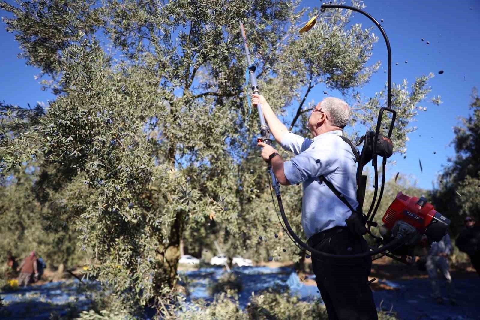 Mudanya zeytin turizmiyle markalaşacak
