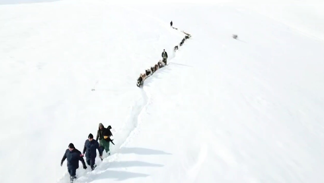 Kar ve tipide kaybolan hayvanlar jandarma tarafından drone ile yerleri tespit edilerek bulundu
