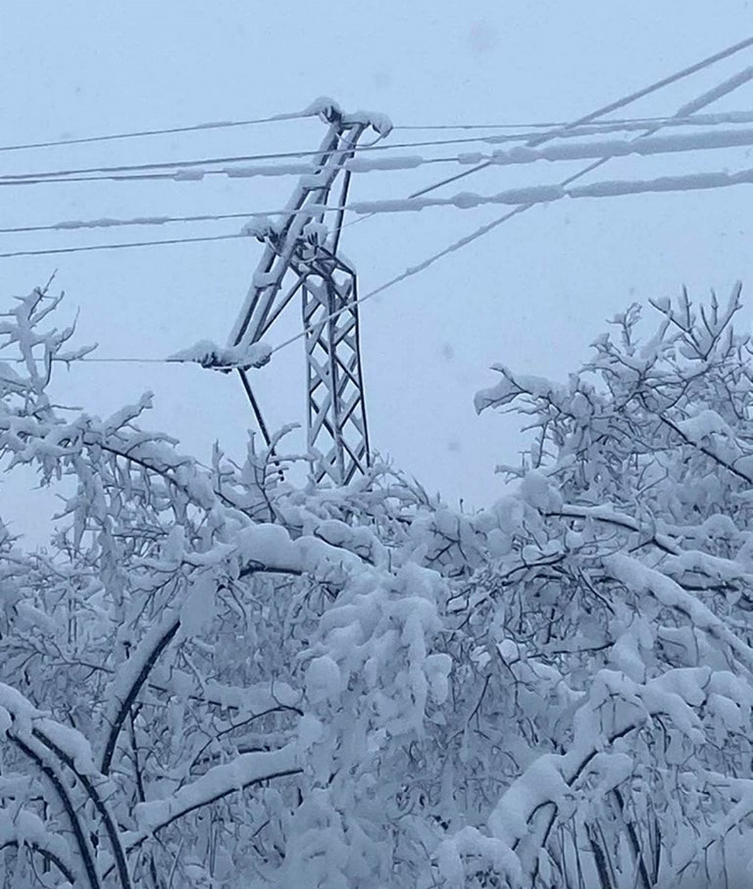 Ordu Valiliği: &ldquo;Kar yağışı hayatı olumsuz etkiledi

