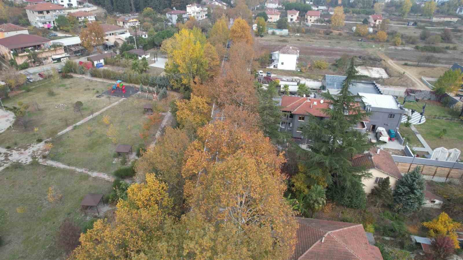 Ata yadigarı Çınarlı Hıyaban her mevsim ayrı güzel
