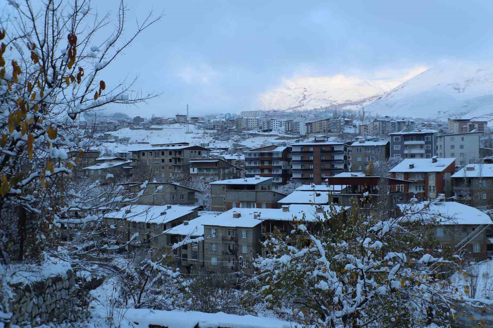 Hakkari&rsquo;de 10 k&ouml;y yolu ulaşıma kapandı
