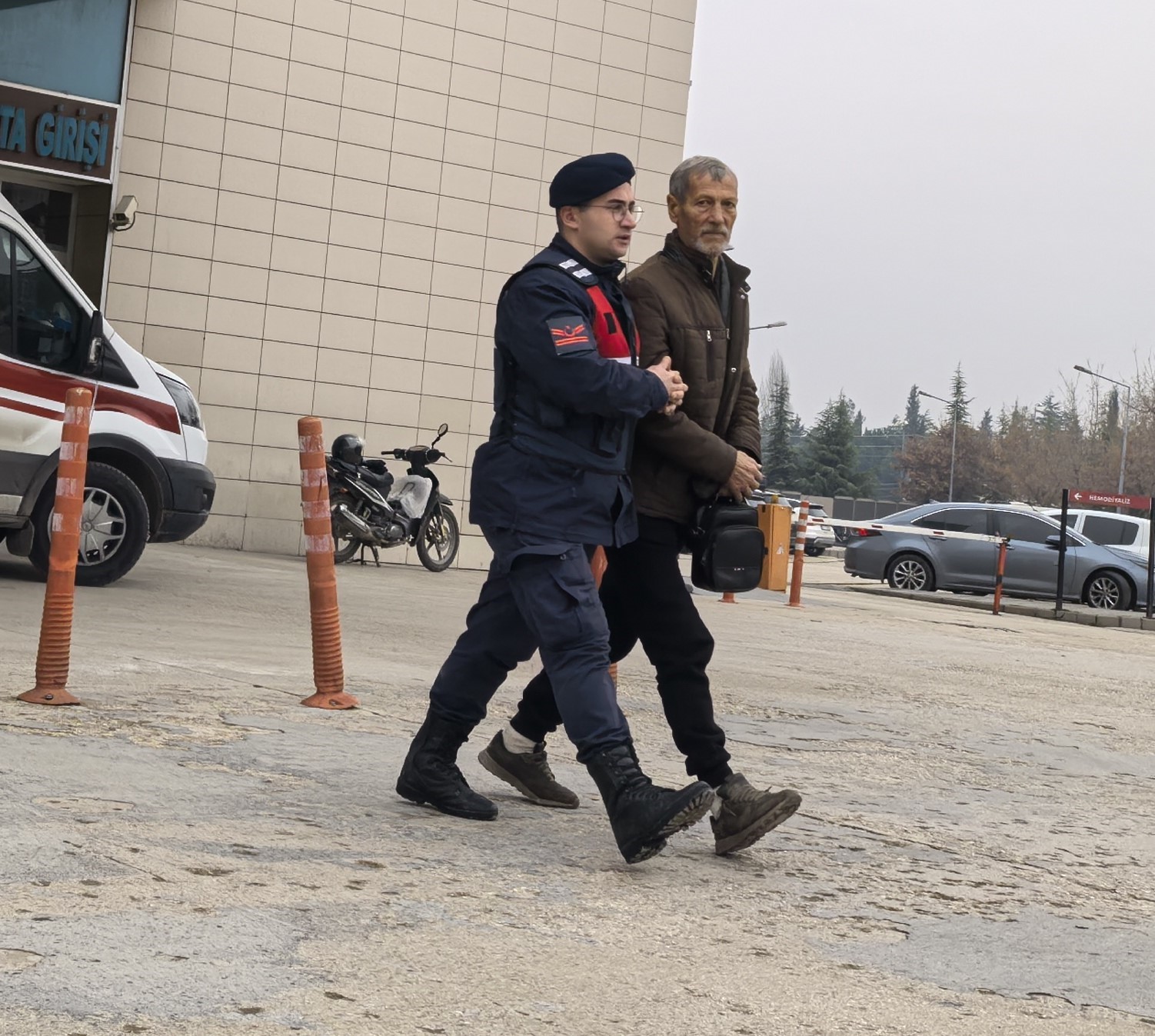 Yasadışı kenevir yetiştiren 73 yaşındaki şahıs yakalandı