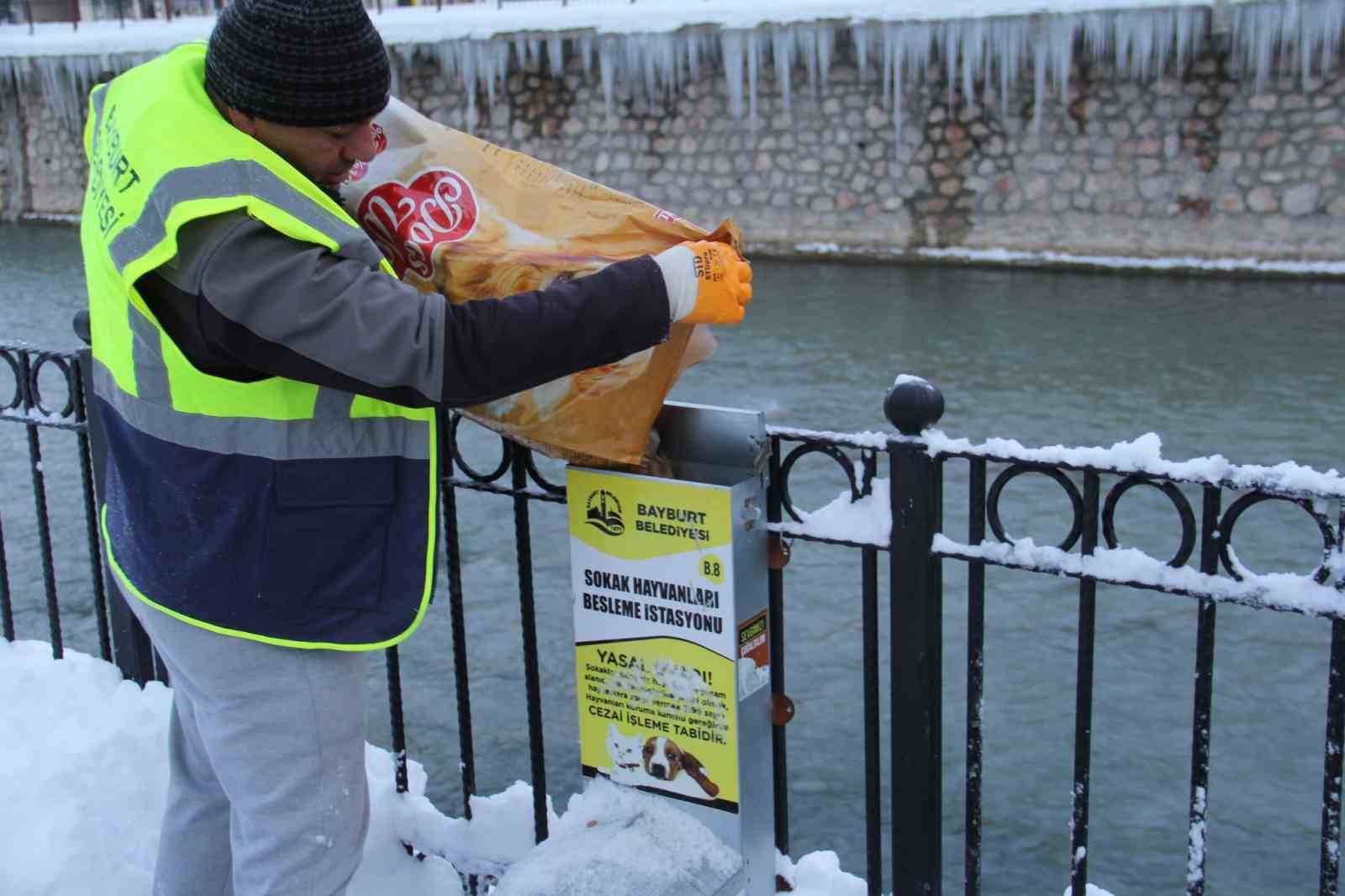 Sokak hayvanları için besleme çalışması yapıldı
