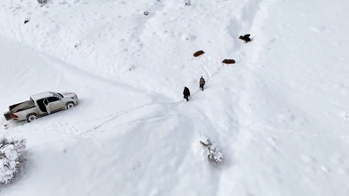 Erzincan&rsquo;da yaban hayvanları i&ccedil;in doğaya yem bırakıldı
