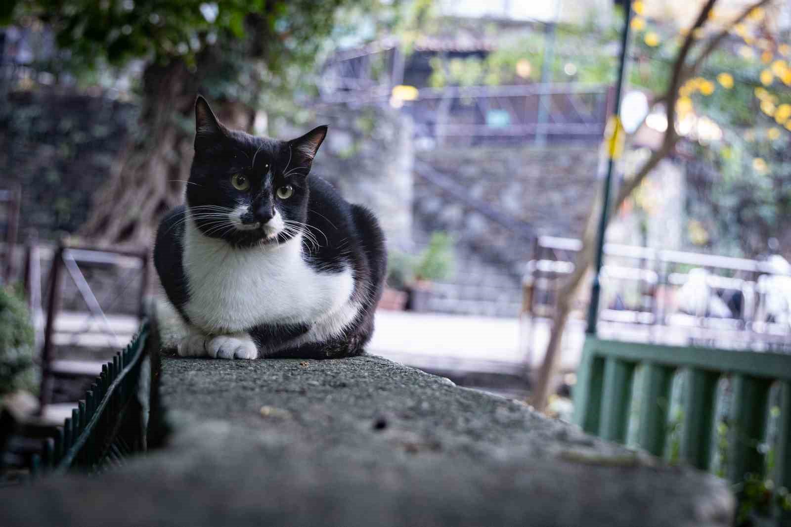 Türkiye’nin bir çok noktasında kar, İzmir’de sonbahar keyfi
