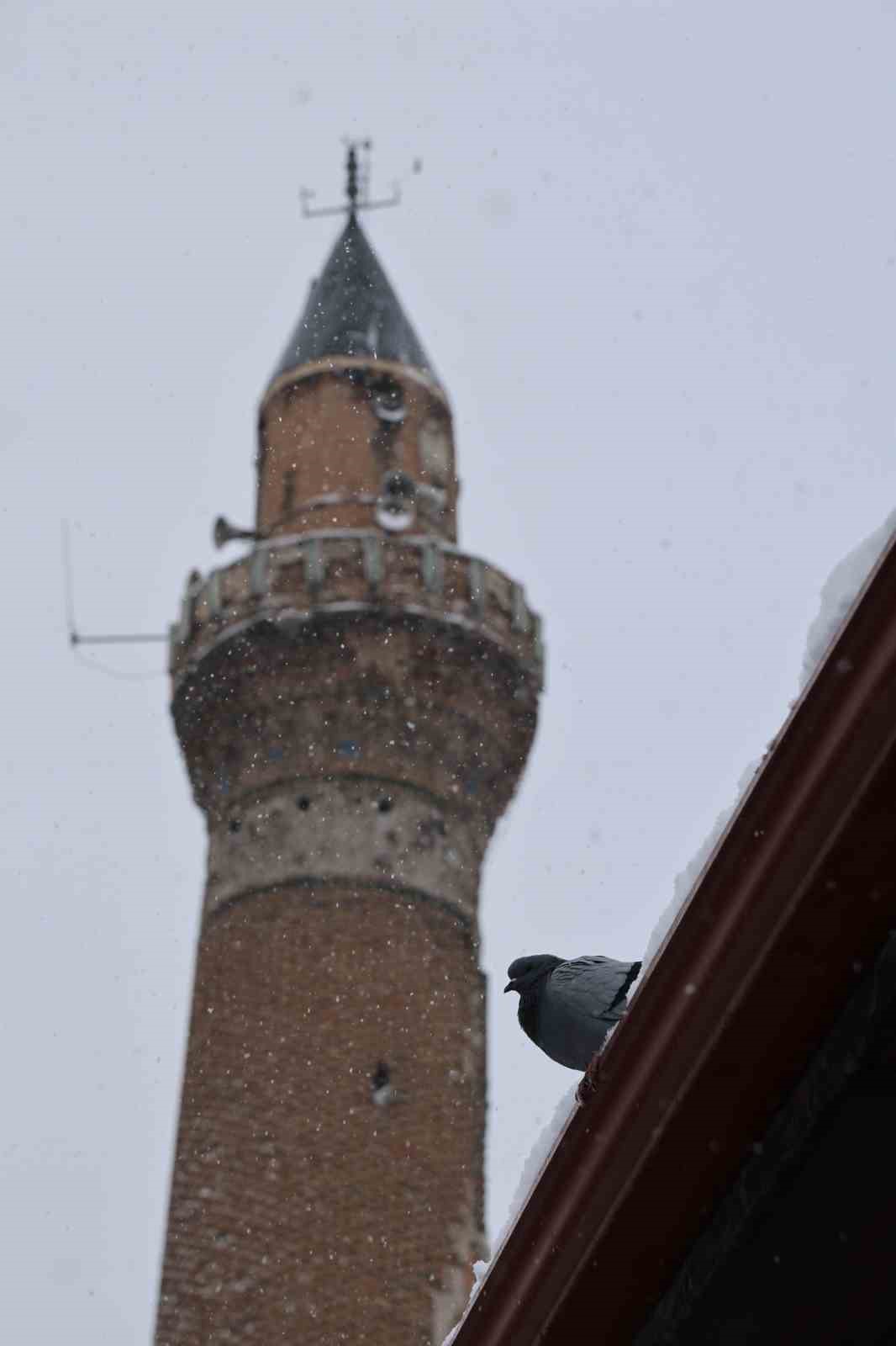 Rüyasında aldığı emirle 20 yıldır her gün kuşları besliyor