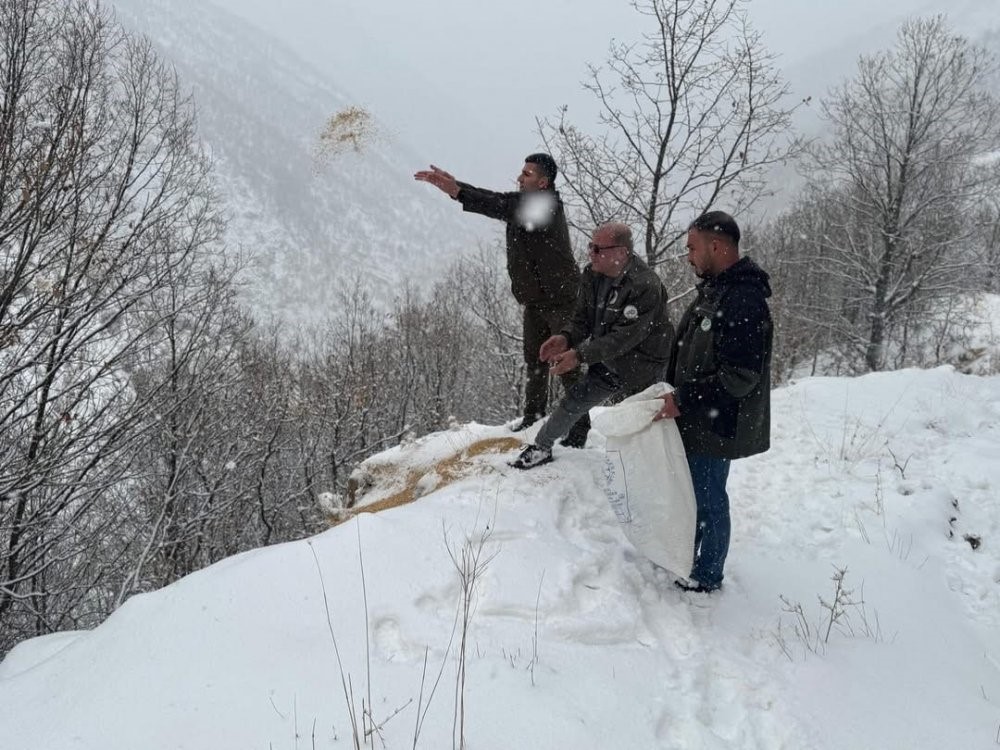 Siirt’te yaban hayvanları için doğaya yem bırakıldı
