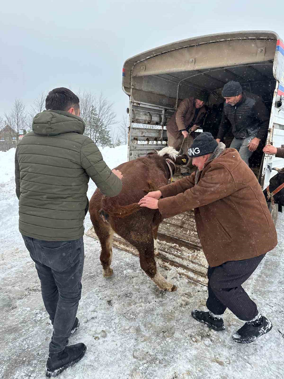 Ordu’da kar nedeniyle yaylada mahsur kalan vatandaşlar kurtarıldı
