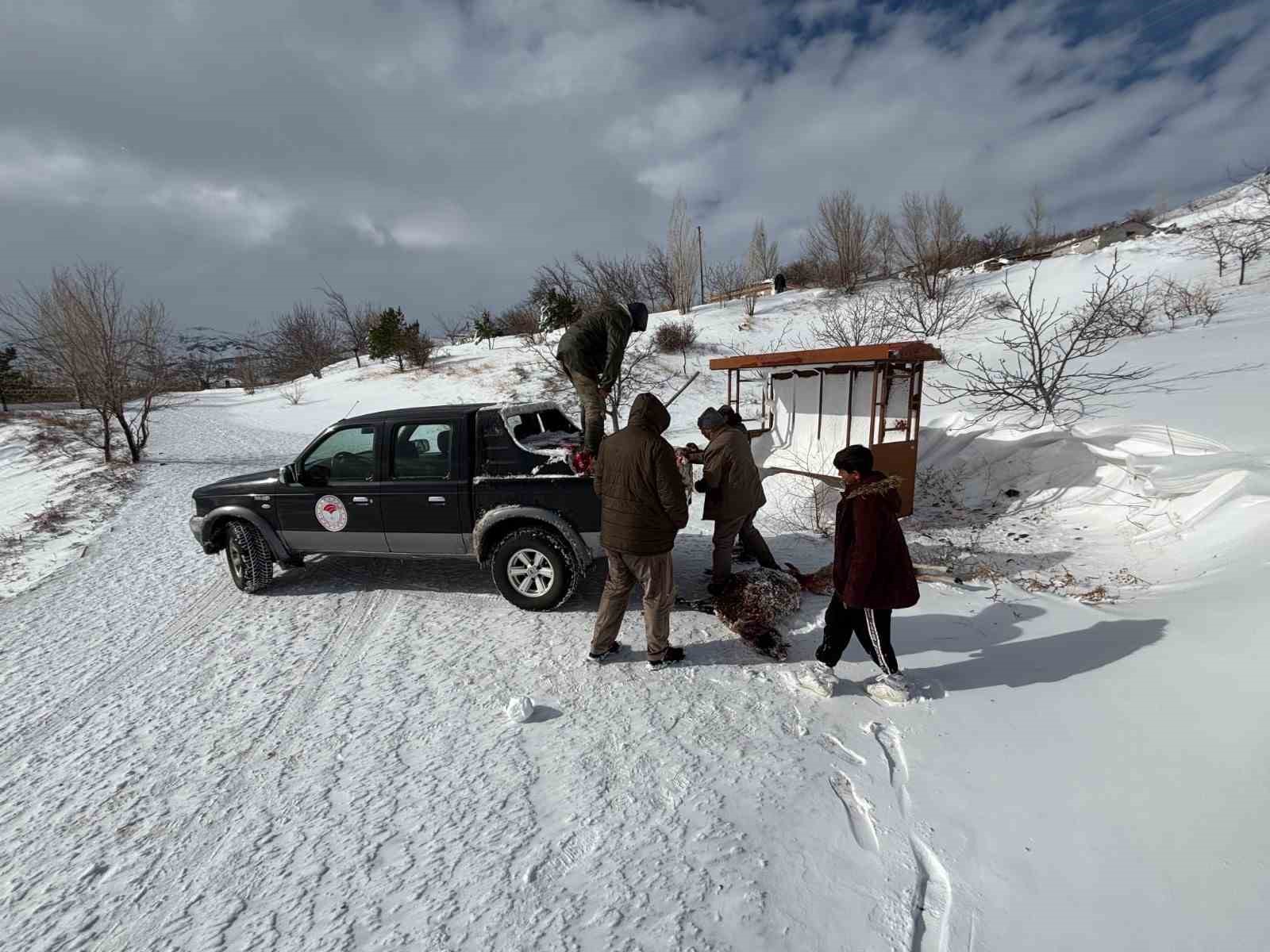 Yoğun kar yağının etkili olduğu Erzincan’da tarımda zarar tespit çalışmaları sürdürülüyor