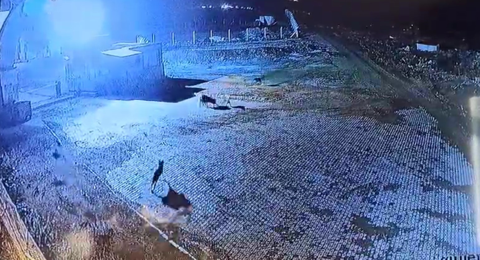 Gümüşhane’de aç kalan kurt sürüsü bekçi köpeğini parçaladı