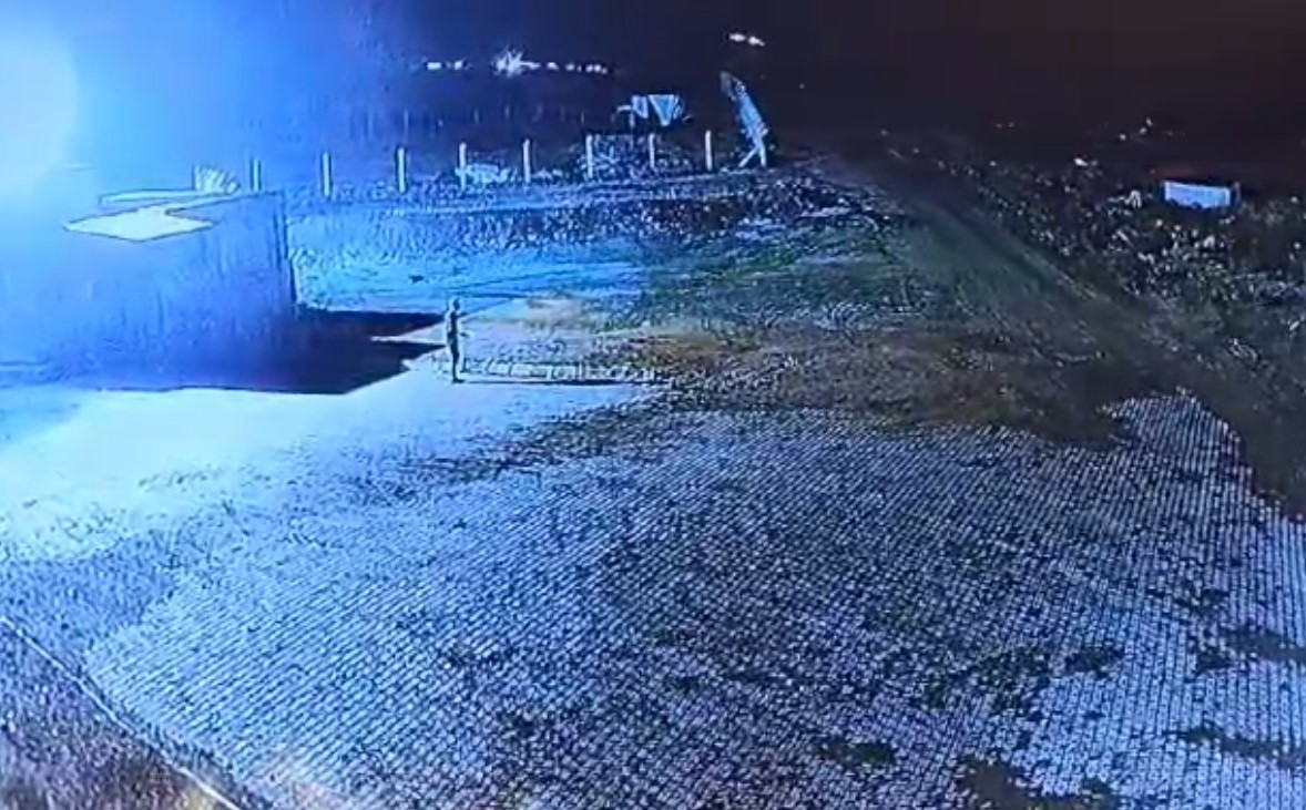 Gümüşhane’de aç kalan kurt sürüsü bekçi köpeğini parçaladı