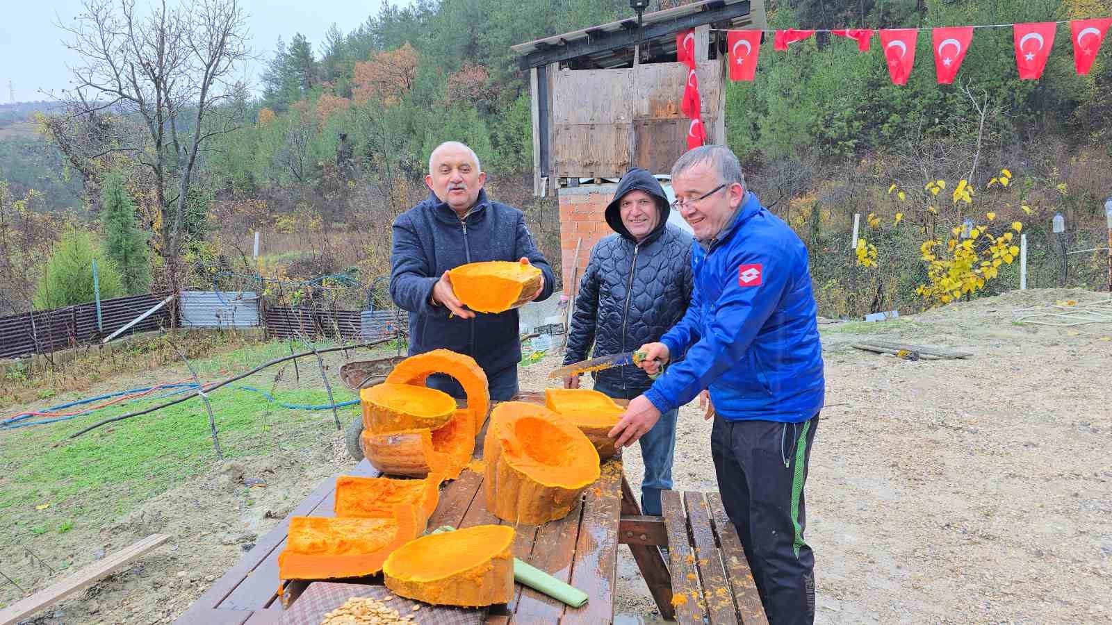 Bahçesinde yetişen 40 kiloluk dev kabağı motorlu testereyle kesebildi
