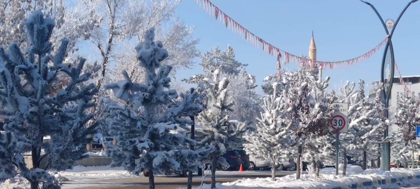 Aşkale’de soğuk hava etkili oluyor
