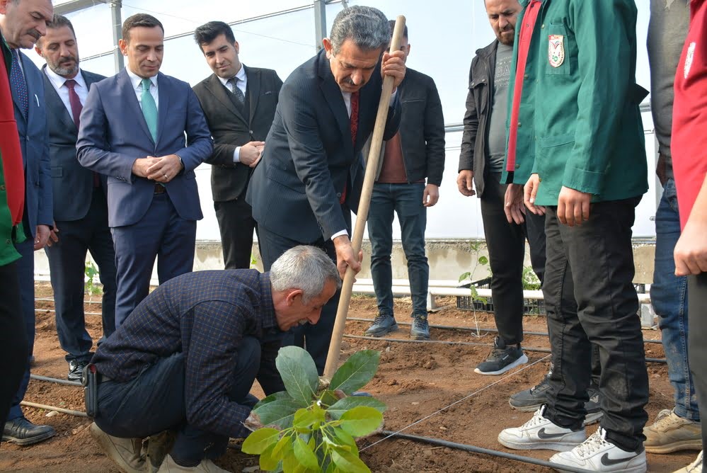 Şırnak’ta avokado, pepino, çarkıfelek ve papaya meyvelerinin fideleri ekildi
