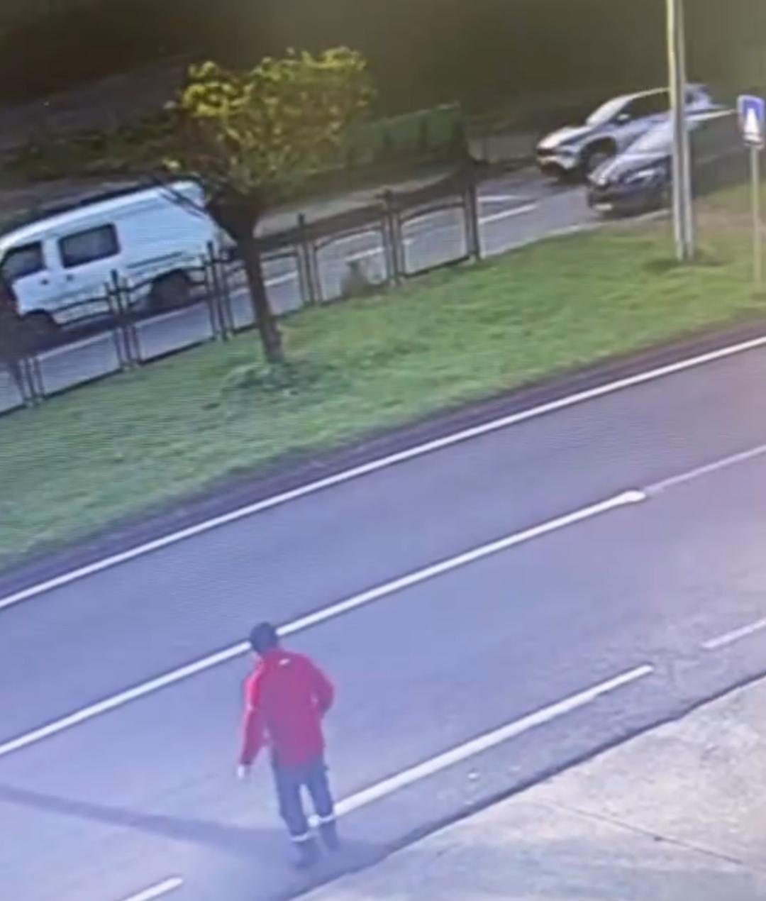 Başıboş k&ouml;peklerden ka&ccedil;arken trafiğin vızır vızır aktığı yola atladı
