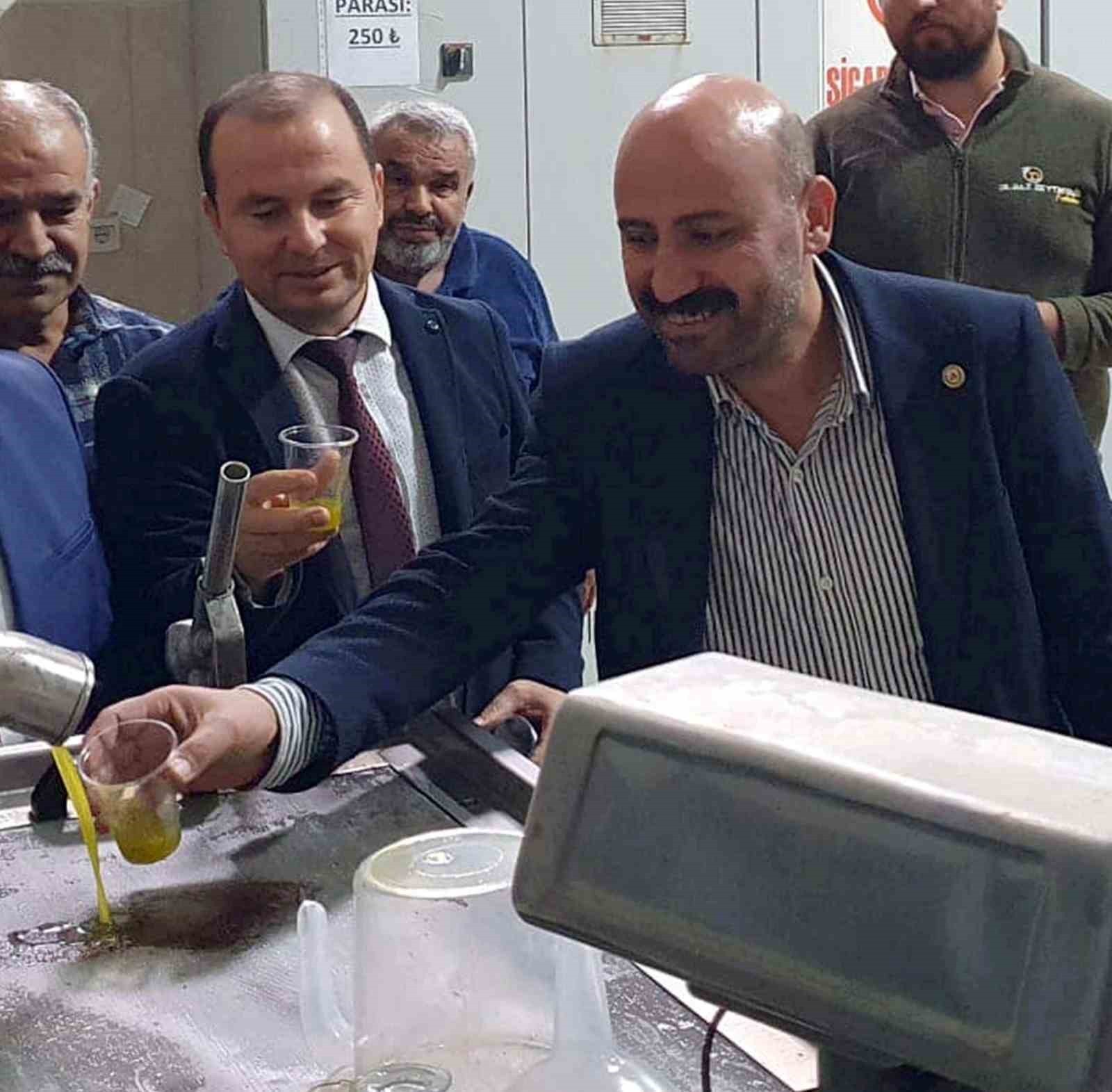 Zeytinde verim arttı, yağın fiyatı 160 TL’ye kadar düştü