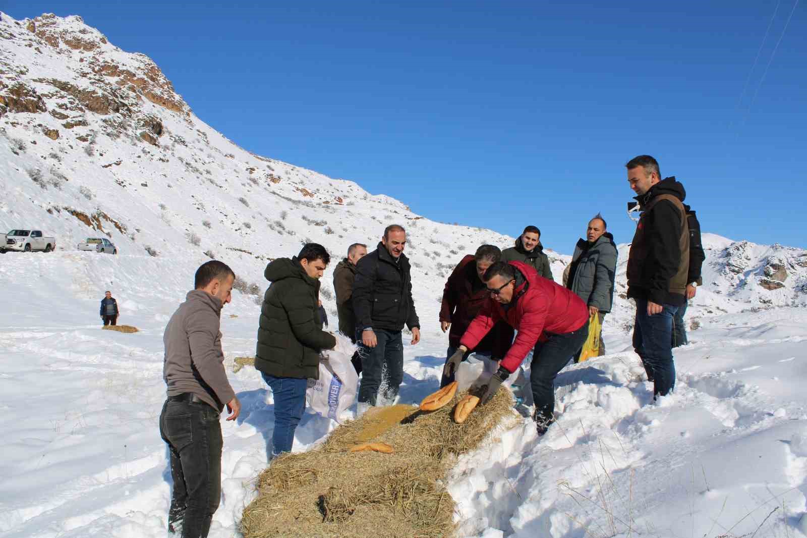 Yaban hayatını unutmadılar
