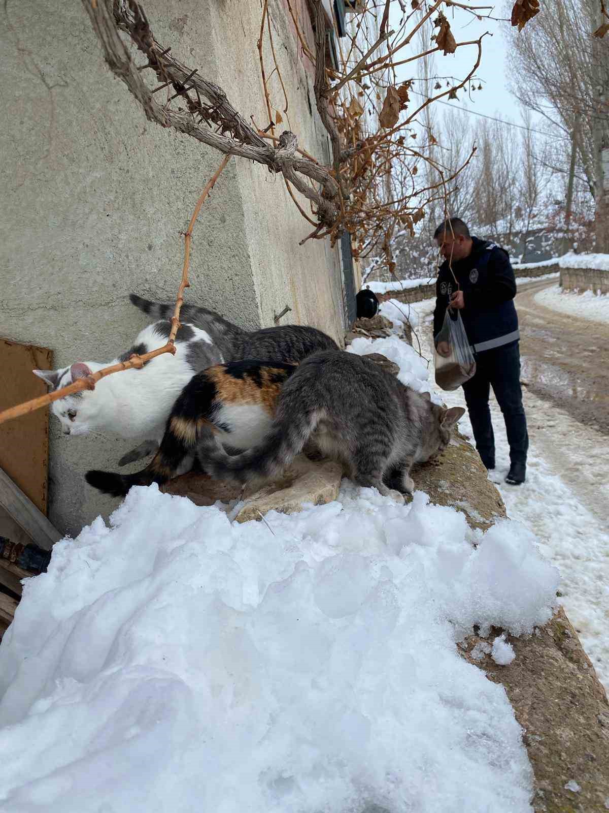 Bünyan Belediyesi’nden sokaktaki hayvanlarına yardım eli
