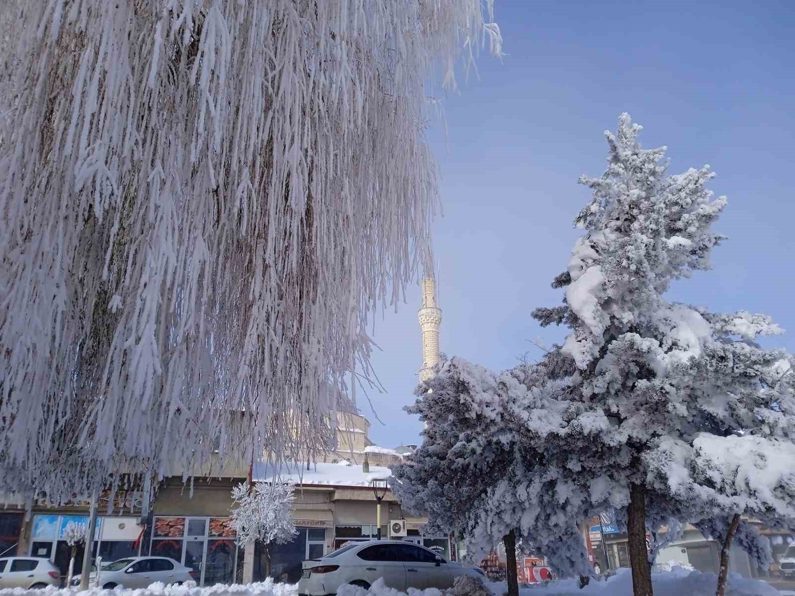 Demirözü’ne düşen kırağı sonrası görsel şölen
