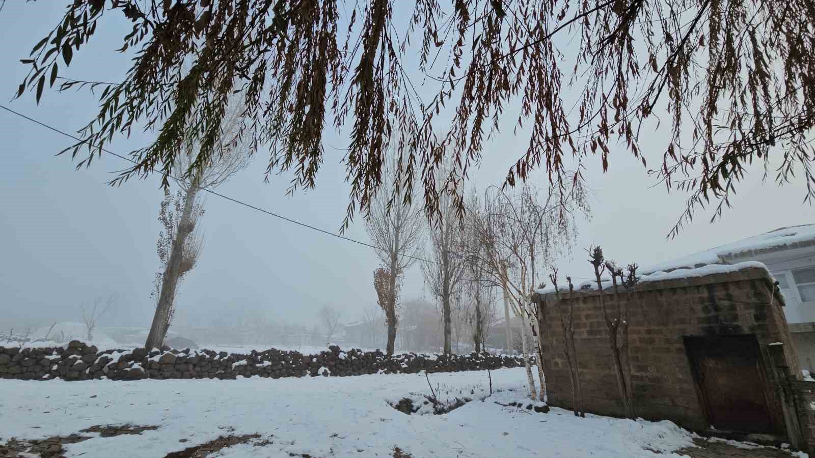 Bitlis-Güroymak kara yolunda sis etkili oluyor
