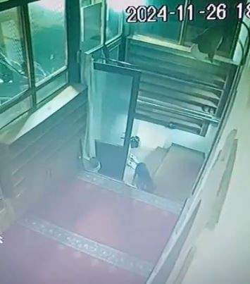 Sevimli hırsız camiden ayakkabı &ccedil;aldı
