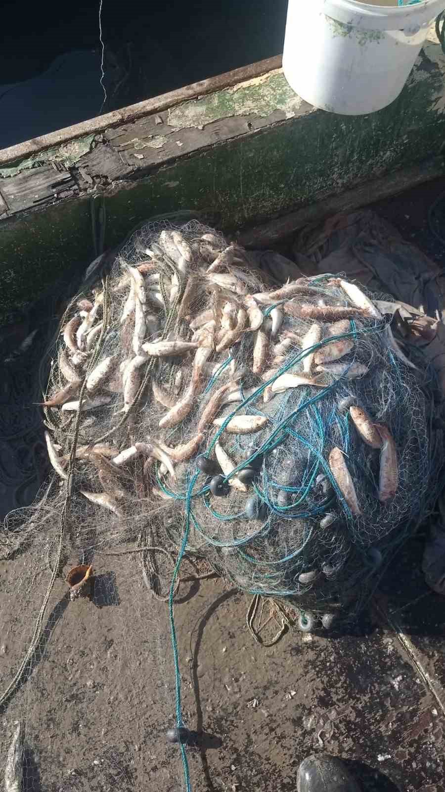 Zonguldak&rsquo;ta barbun balığı bereketi
