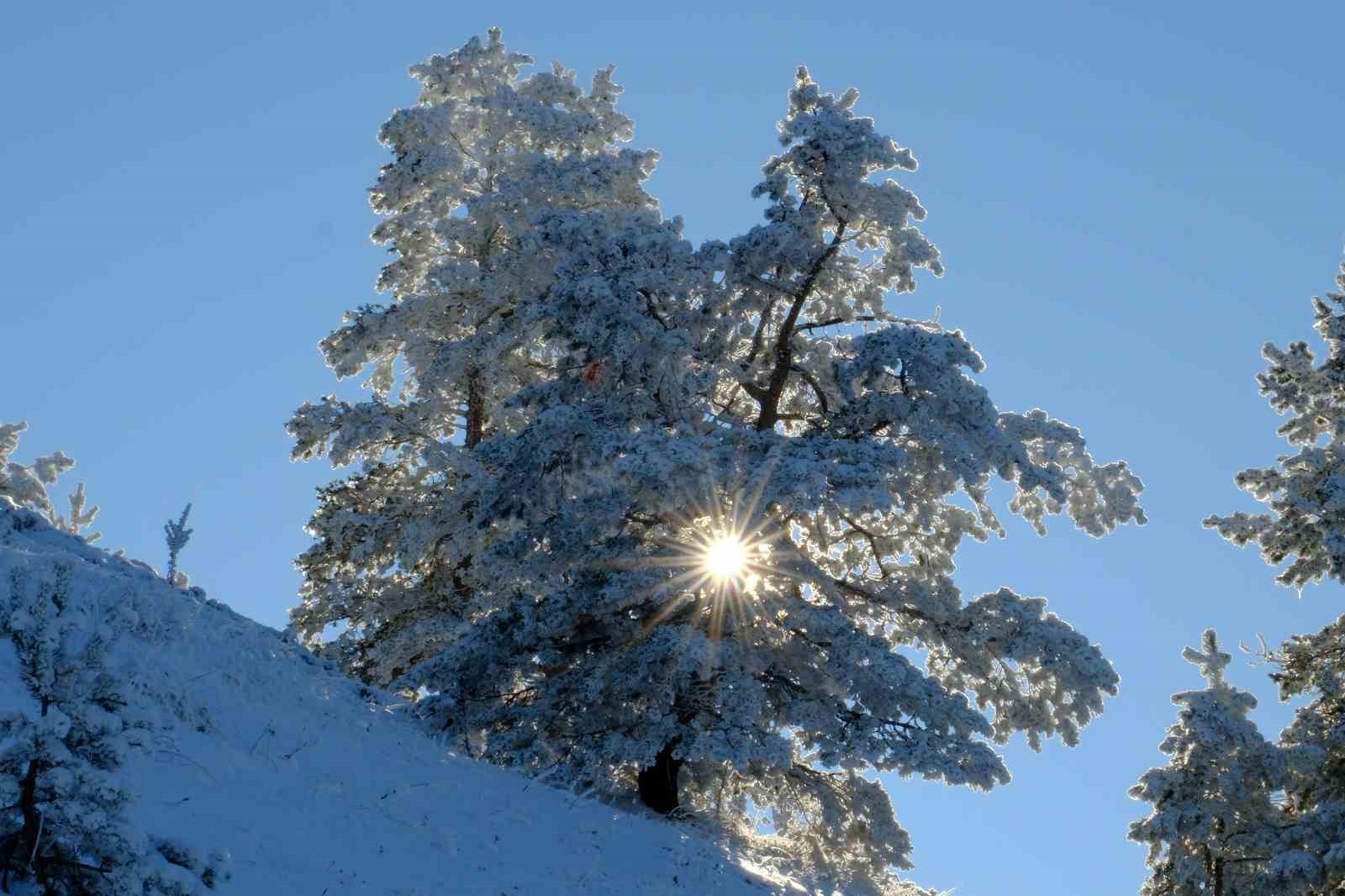 Gümüşhane’de soğuk hava etkili oluyor