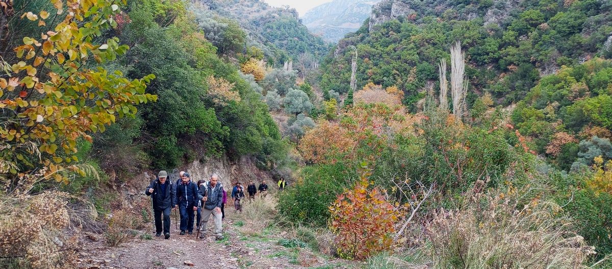 Doğaseverler özgün klima özelliği ile bilinen Koçak Kanyonu’na dikkat çektiler
