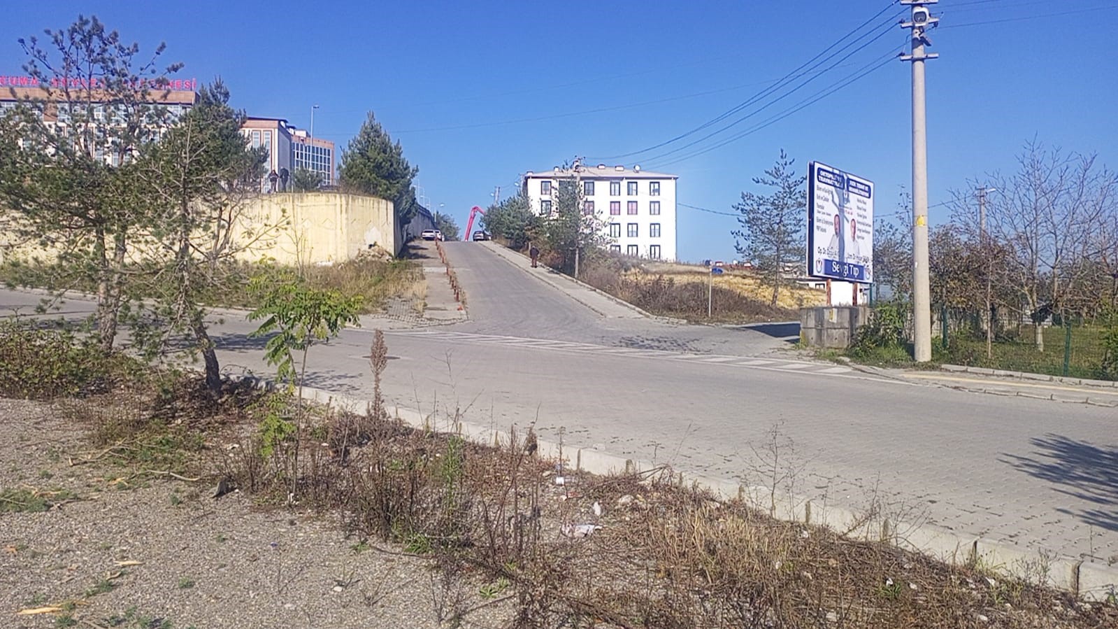 Freni boşalan minib&uuml;s ormana u&ccedil;tu
