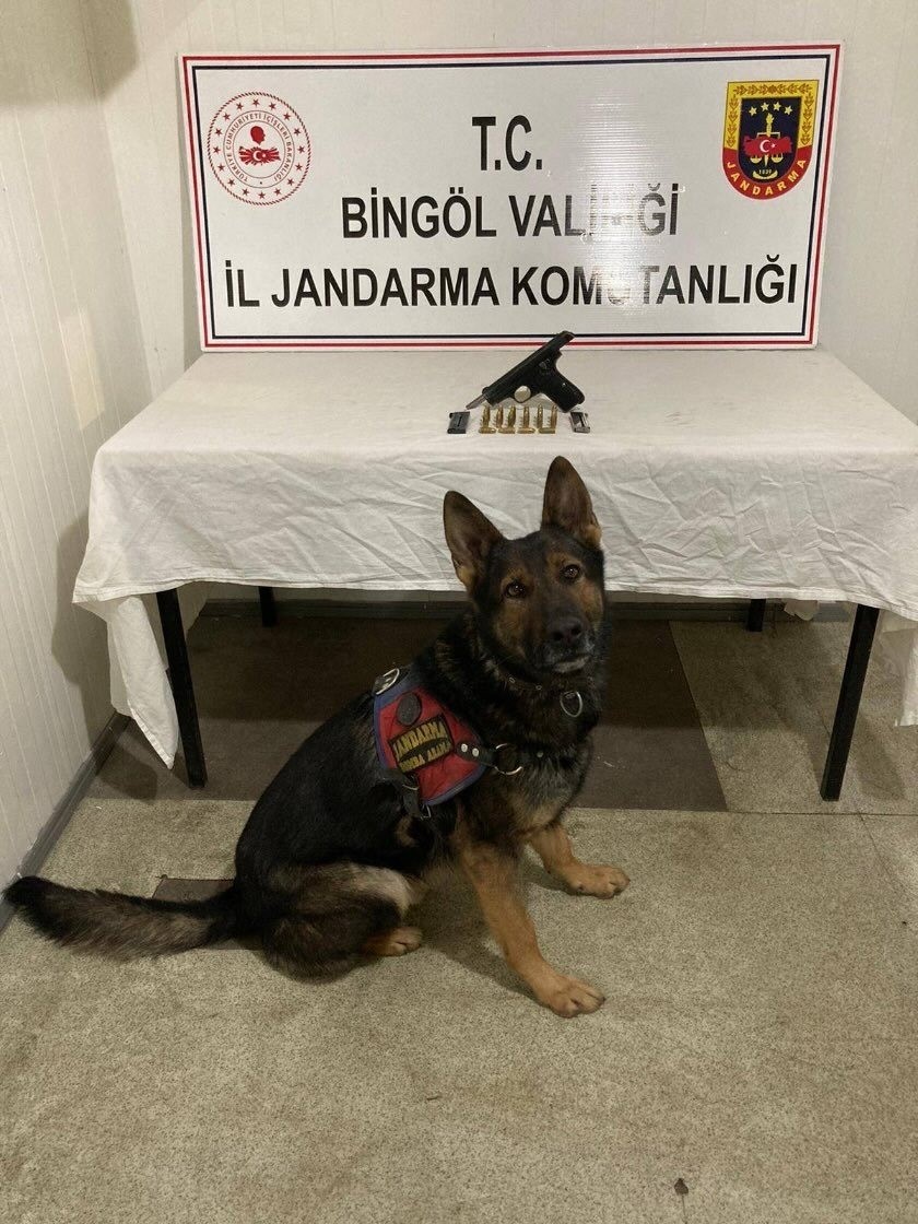Bing&ouml;l&rsquo;de uyuşturucu ve ruhsatsız silah operasyonları
