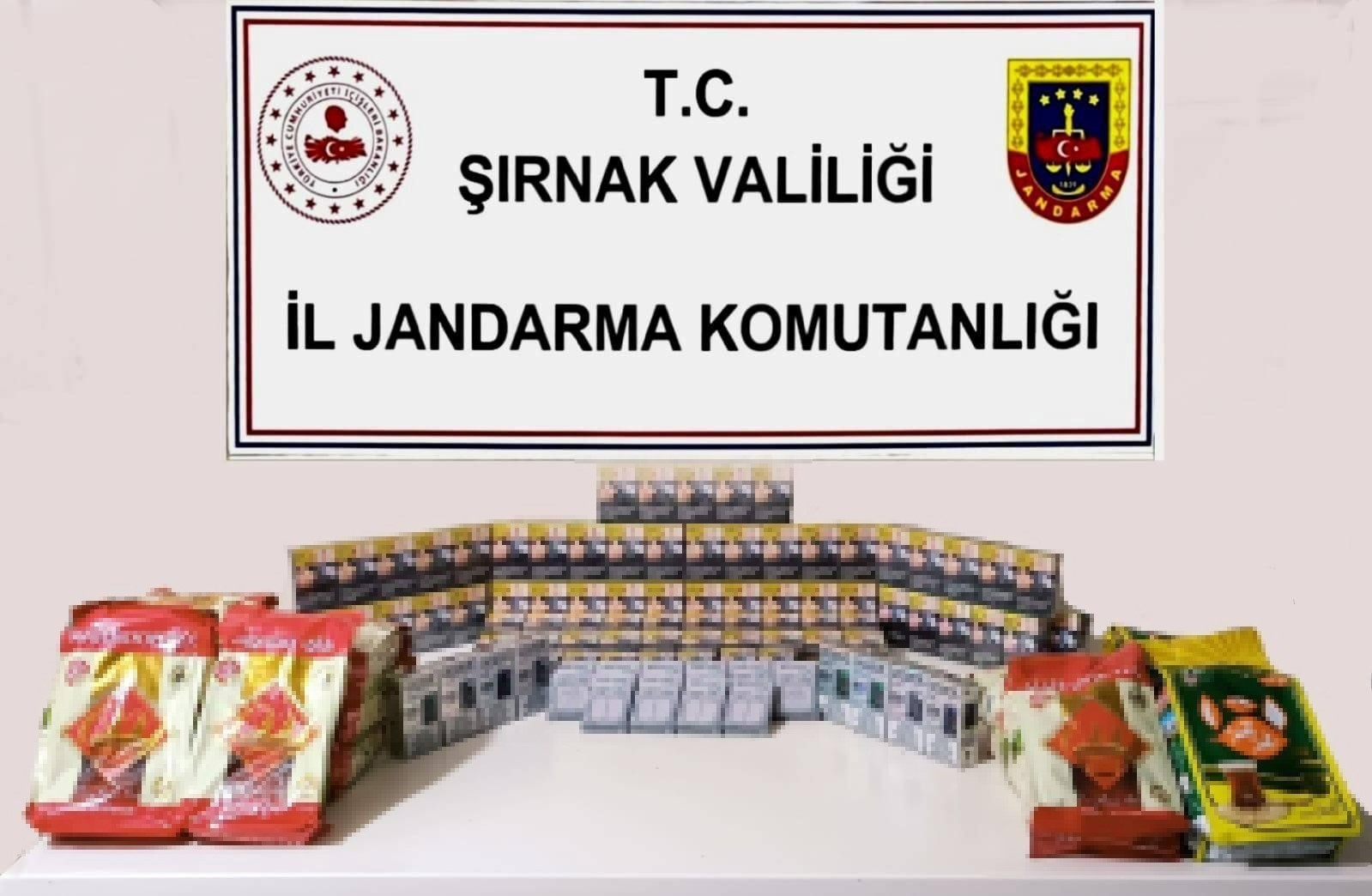 Şırnak&rsquo;ta jandarma ekiplerinden asayiş ve ka&ccedil;ak&ccedil;ılık operasyonu
