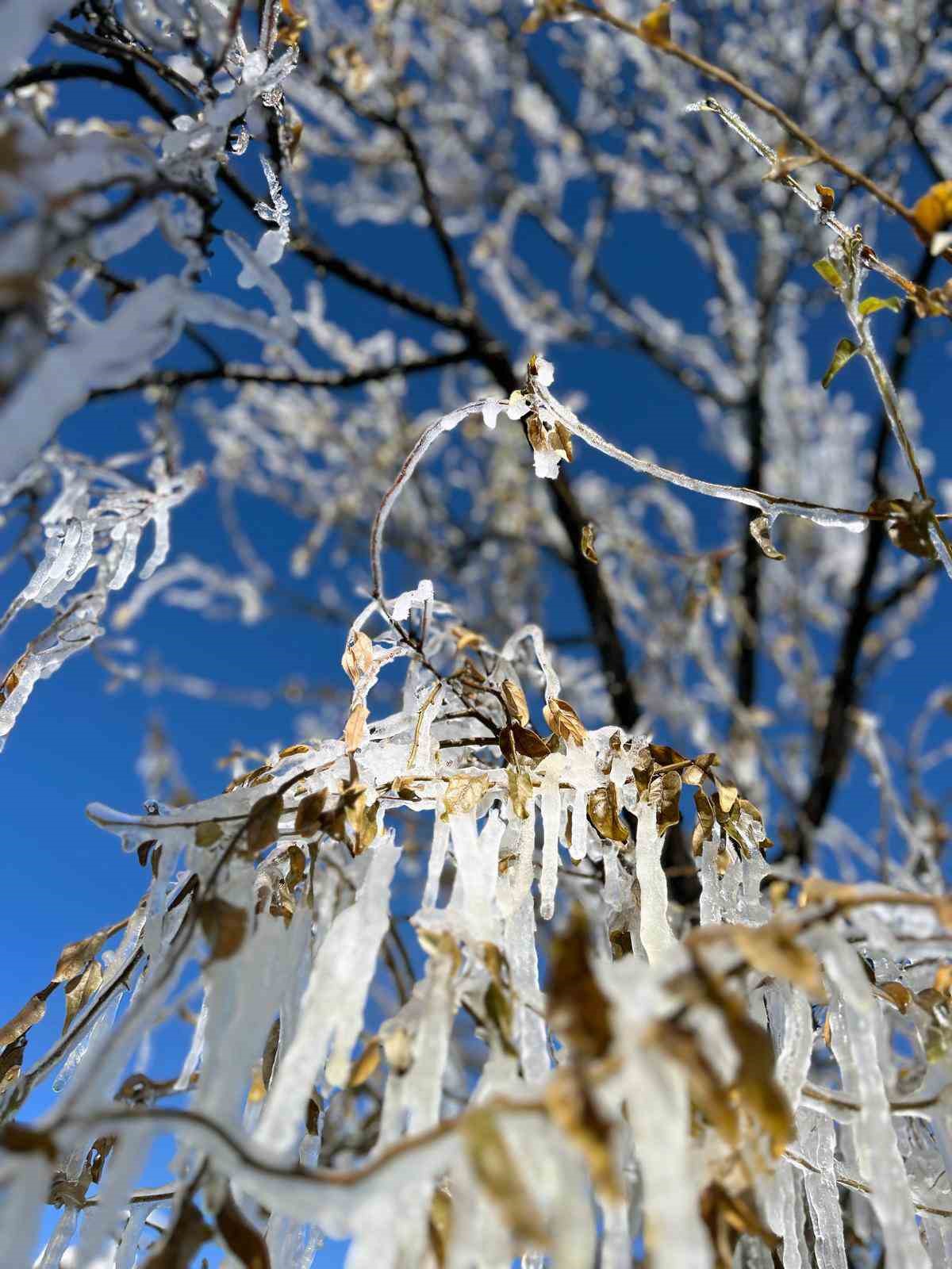 Yozgat’ta soğuk hava buz sarkıklarıyla görsel şölene dönüştü
