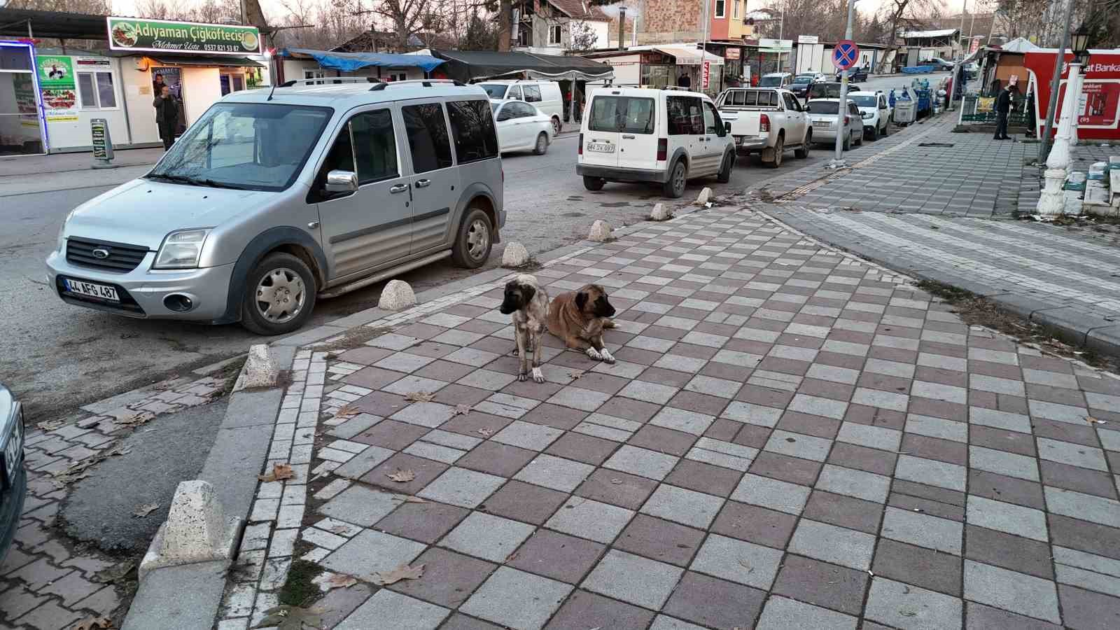 Soğuk havalarda vatandaşlara &rsquo;sokaktaki canları unutmayın&rsquo; &ccedil;ağrısı
