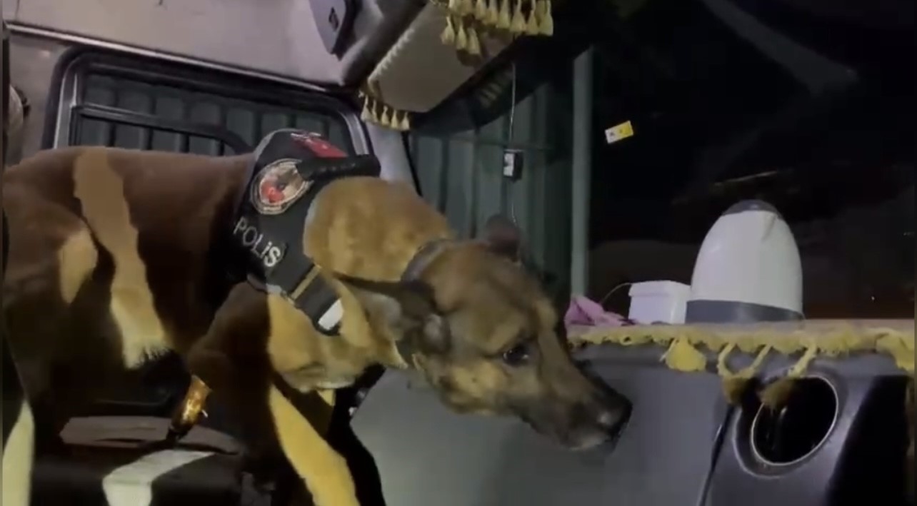 Osmaniye&rsquo;de uyuşturucu operasyonlarında 30 tutuklama
