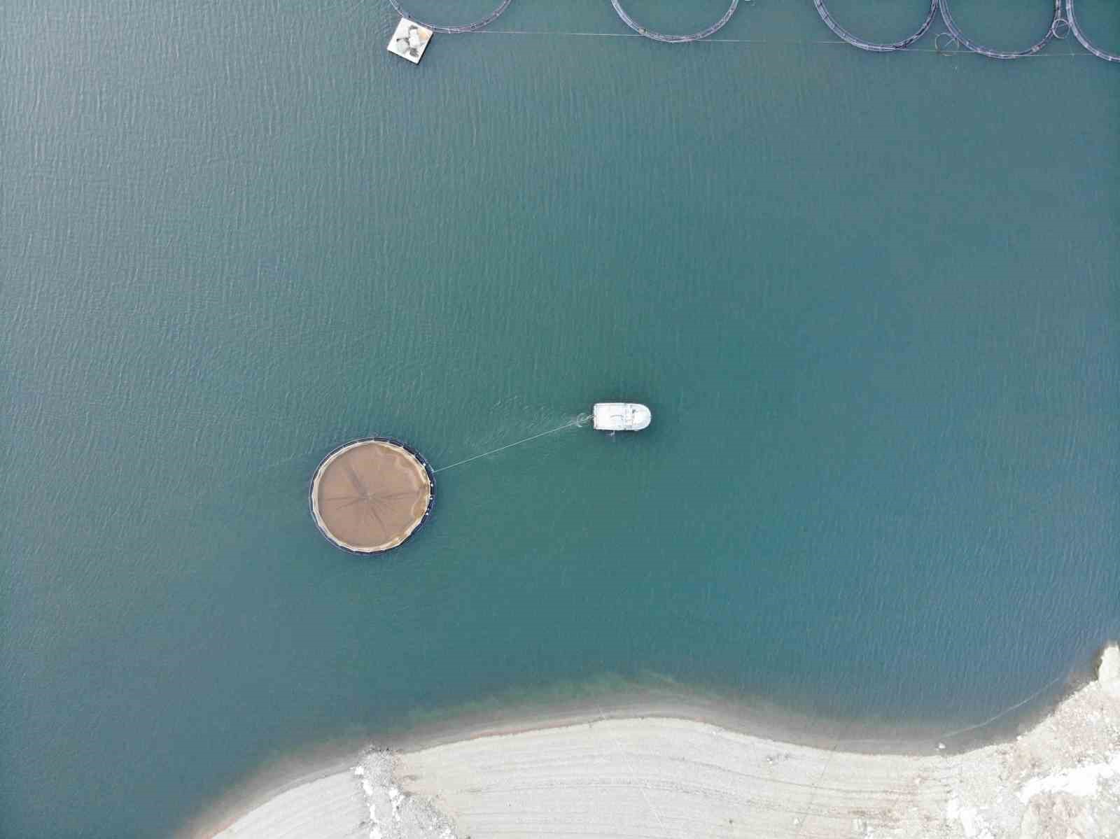 Denizi olmayan Gümüşhane’den dünyaya balık ihracatı