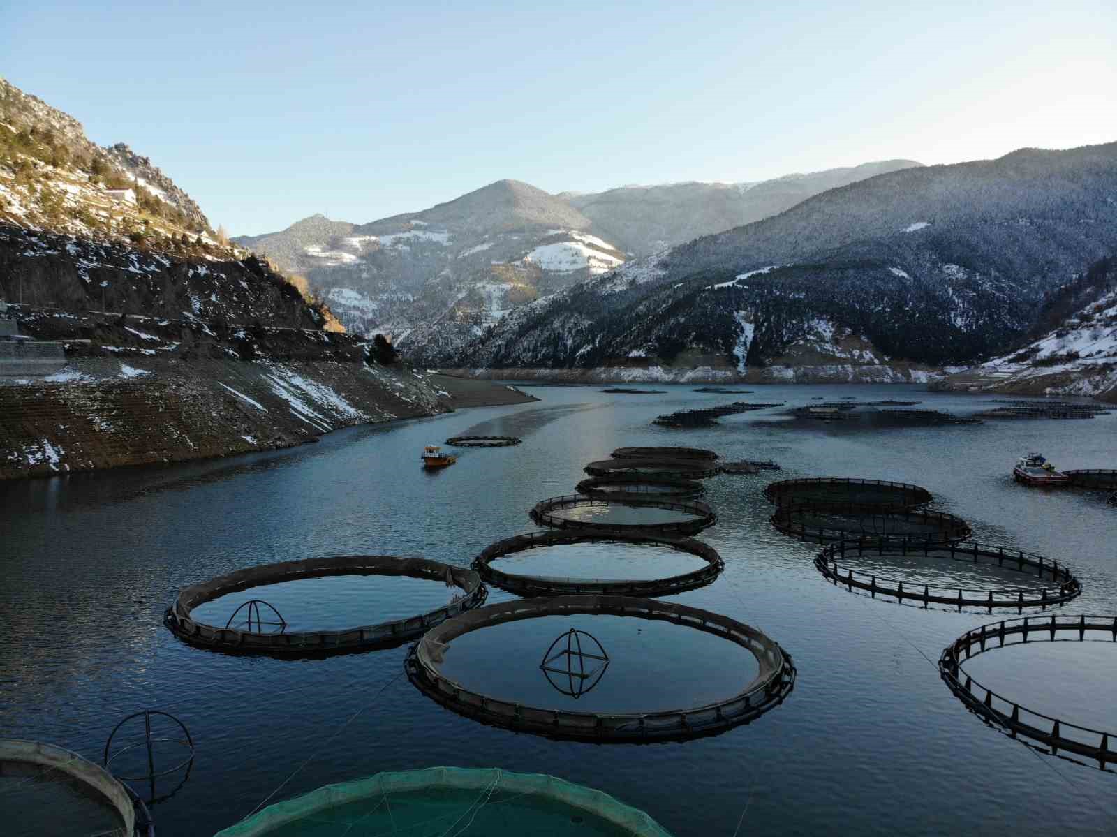 Denizi olmayan Gümüşhane’den dünyaya balık ihracatı