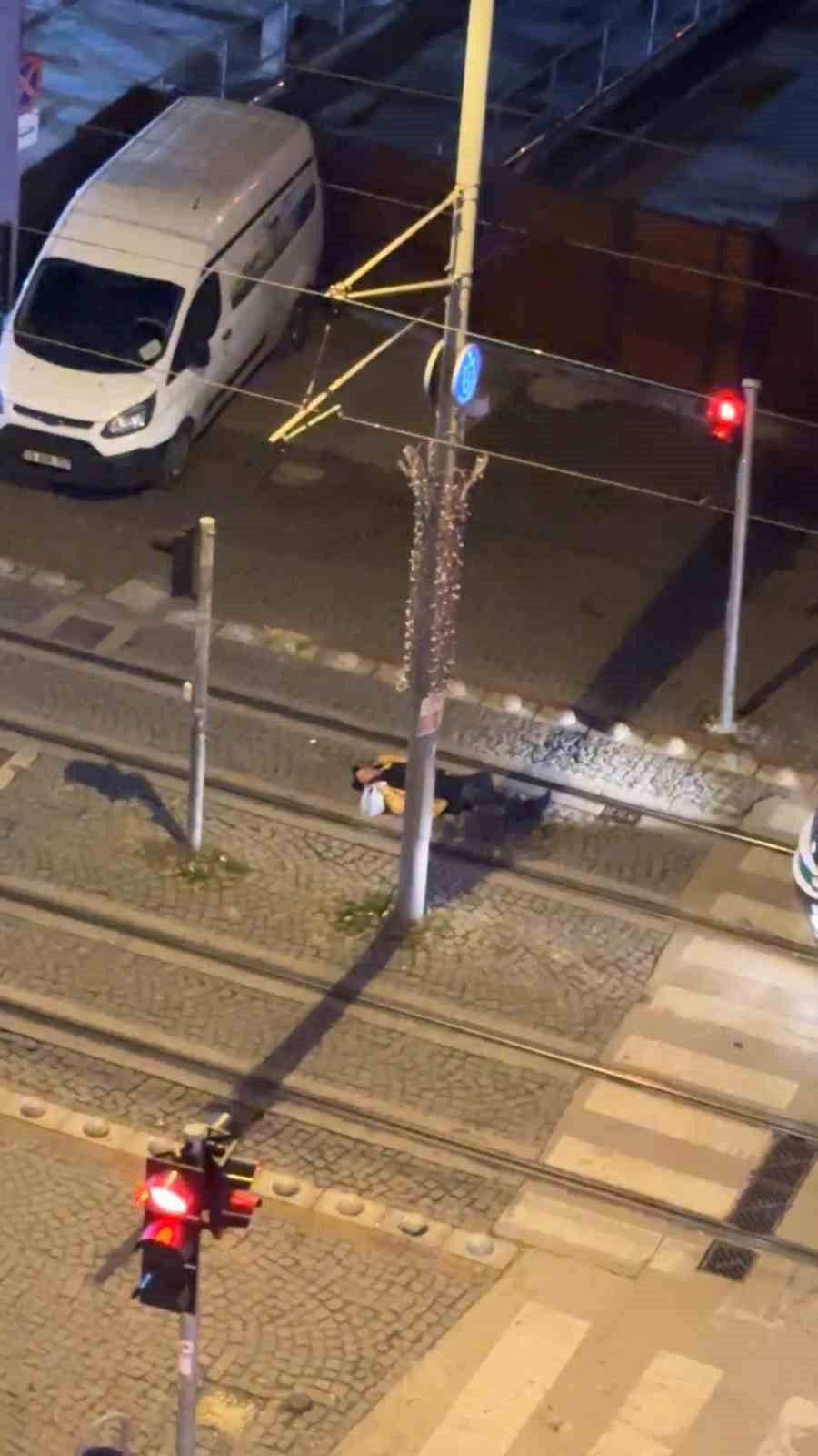 Tramvay yolundaki keyif uykusunu vatman bozdu