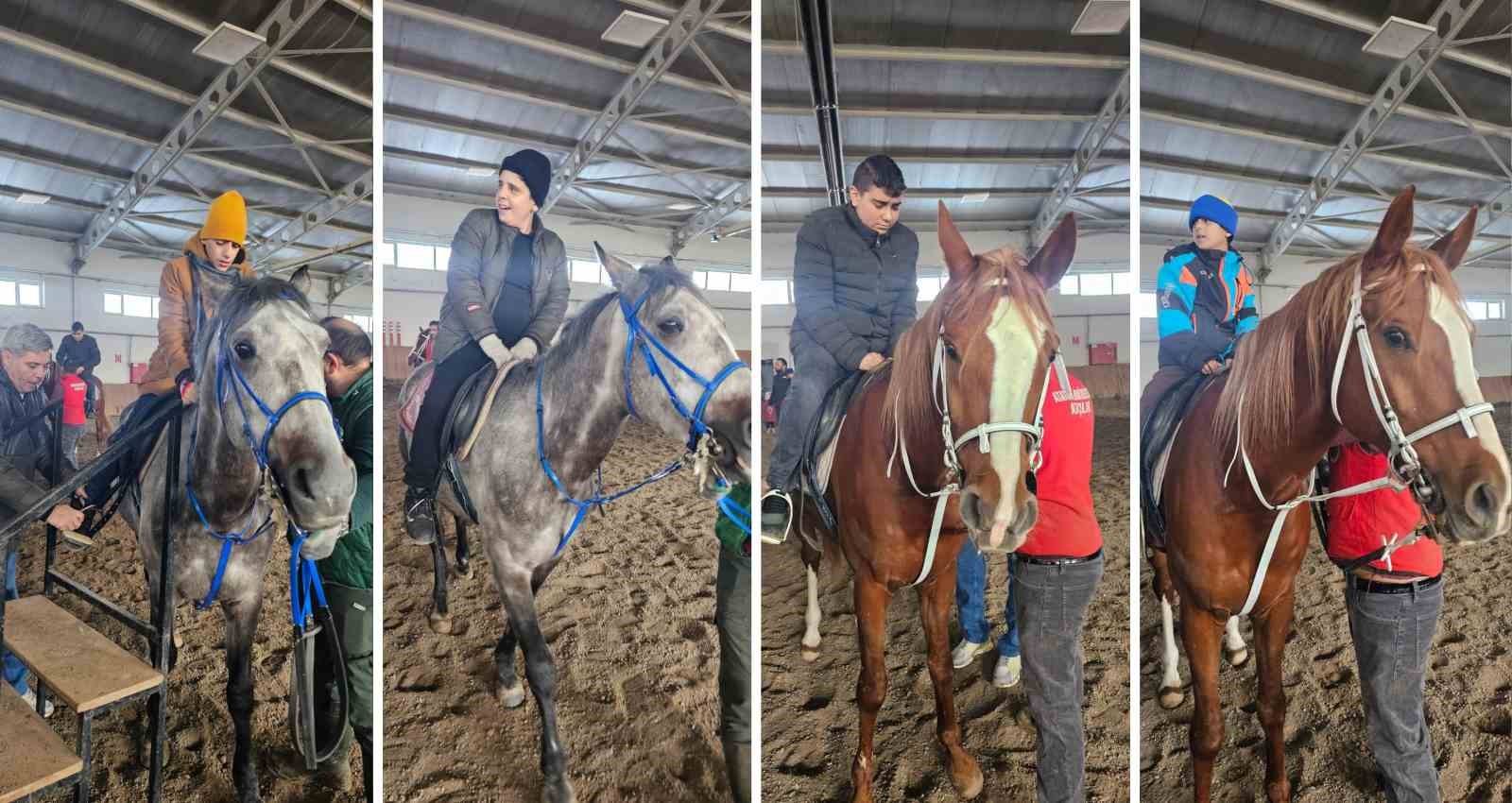 Engelli bireyler i&ccedil;in anlamlı etkinlik: Hipoterapi ve biniş eğitimi
