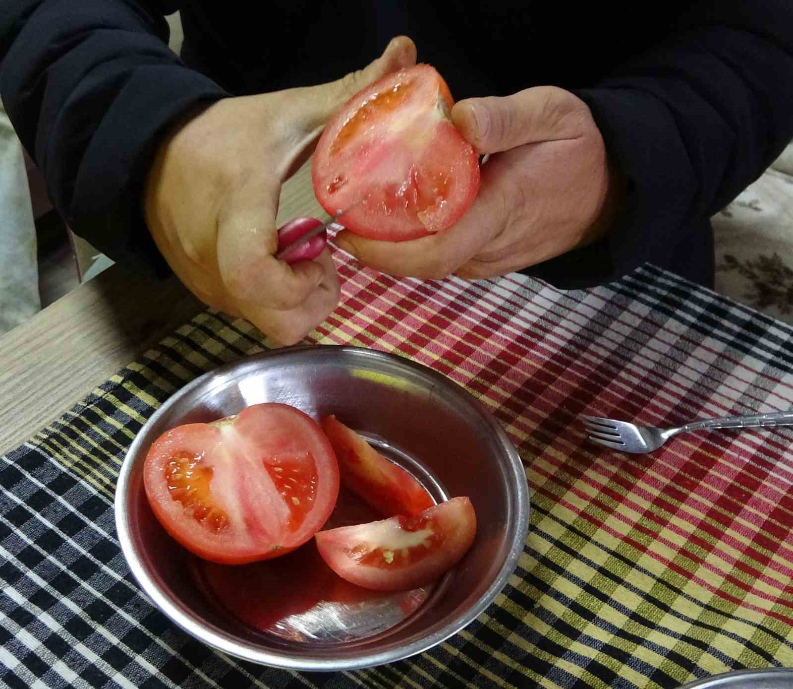 Yetiştirdiği ürünle gurur duyan üretici, 3 ton domatesi evine taşıdı
