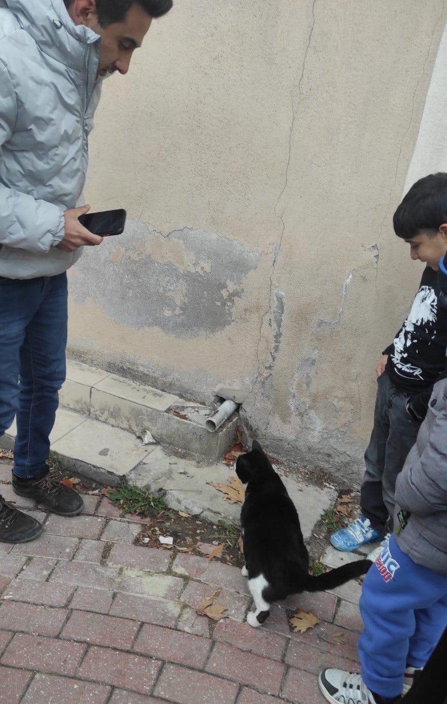 Yağmur hattı borusuna sıkışan yavrusunu kurtarılıncaya kadar bekledi
